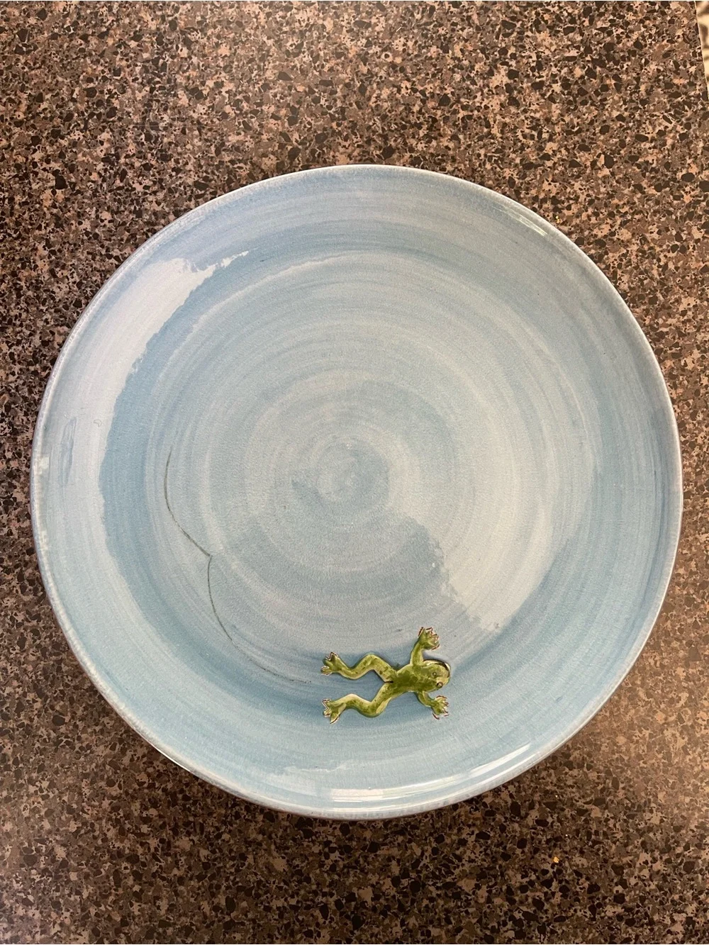 Set of 4 Pottery Barn Blue Raised Frog Salad Plates